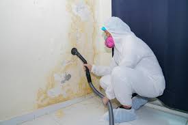 Best Mold Damage Restoration  in Wytheville, VA